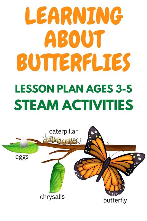 Steam Lesson Plans Preschool, Monarch Butterfly Lesson Plans, Life Cycle Of A Butterfly Lesson Plan, Preschool Life Cycle Of A Butterfly, Butterfly Theme For Preschool, Butterflies Lesson Plans Preschool, Butterfly Steam Activities, Caterpillar Lesson Plans Preschool, Butterfly Cycle Activities