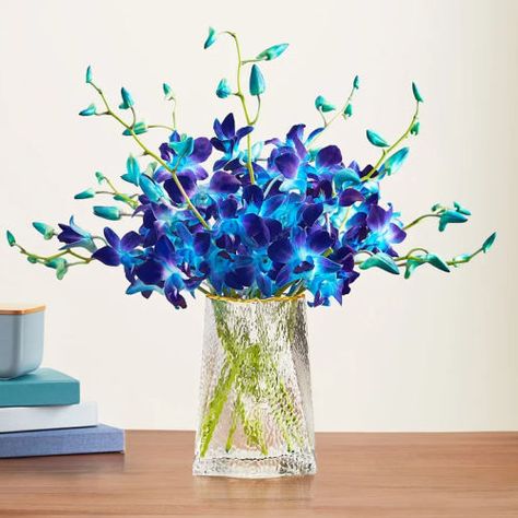 Get 10 Dendrobium orchids and clear vase for only $66.99 (reg. $71.99) at 1800flowers.com. You save 7% off the retail price for these tropical orchids. Free shipping is offered for Passport members. The Ocean Breeze Orchids feature shades of blue orchids with a clear textured glass Highland vase. Sales tax is charged in most states. […] The post Ocean Breeze Orchids first appeared on Frugal Buzz. Ocean Breeze Orchids, Blue Hydrangea Centerpieces, Blue And Purple Orchids, Blue Orchid Wedding, Tropical Flower Arrangements, Tropical Ocean, Clear Vase, Dendrobium Orchids, Orchid Wedding