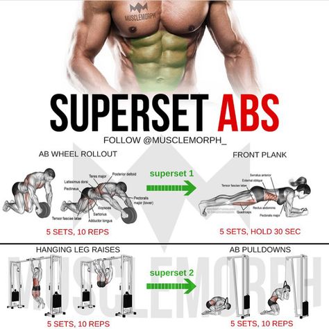 (Swipe Left) Complete 6 days a week superset workout plan!✅@musclemorph_ Monday: Chest Tuesday: Back Wednesday: Shoulders Thursday: Legs Friday: Arms Saturday: Abs Sunday: Rest - Enhance your progress with MuscleMorph Supplements from the LINK in our BIO ✔️MuscleMorphSupps.com . TAG YOUR GYM PALS #MuscleMorph Super Set Workouts, Superset Workout, Outdoor Workout, Ripped Abs, Abs Exercises, Super Sets, Weight Training Workouts, Abdominal Exercises, Ab Workout