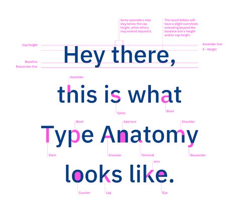 Typography design 101: a guide to rules and terms - 99designs Typography Anatomy, Typography Terms, Typography Rules, Professional Typography, Type Anatomy, Fonts For Logos, Minimal Font, Drawing Lettering, Business Fonts