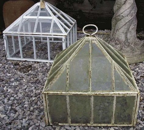 Cloche Garden, Garden Cloches, How To Make Garden Cloches, Plant Cloche, Wire Garden Cloche, Butterfly Cloche Diy, Garden Cloche, Terrarium, Design Details