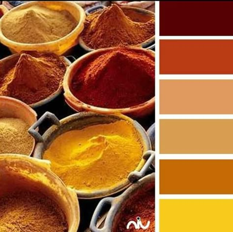 Spice Colour Palette, Indian Food Color Palette, Indian Colors Palette, South Asian Color Palette, Arabian Color Palette, Arabic Color Palette, Spices Color Palette, Indian Color Palette, African Color Palette