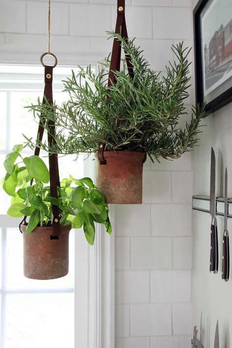 Hanging Herbs in the Kitchen | Chris Loves Julia Hanging Herb Gardens, Hanging Plants Outdoor, Hanging Plants Diy, Hanging Herb Garden, Diy Hanging Planter, Herb Garden In Kitchen, Hanging Herbs, Plants Hanging, Plant Kitchen