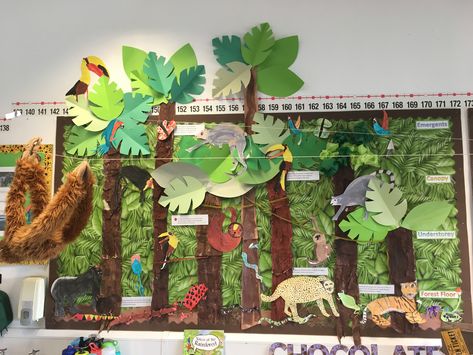 Rainforest jungle display. KS2 art. Jungle Fever. Rainforest Poster Board Project, Rainforest Display Classroom, Rainforest Art For Kids, Rainforest Art Activities, Rainforest Art, Rainforest Display, Rainforest Display Ks2, Rainforest Art Ks2, Amazon Rainforest Project