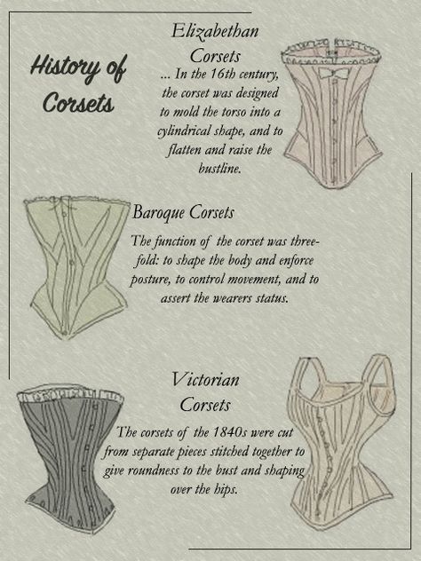 Types of Corsets History Of Corsets, Different Kinds Of Corsets, Corset Neckline Types, Different Corset Shapes, Types Of Corsets Names, Different Corset Types, Corset Evolution, Corsets History, Types Of Corsets Style