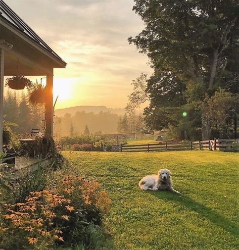 Future Farms, Casa Country, Aesthetic Pink, Nature Aesthetic, Pretty Places, Dream Board, Future Life, Country Life, Farm Life