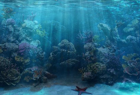 Aquarium Wallpaper, Blue Aquarium, Desktop Aquarium, Underwater Background, Fish Background, Coral Reef Aquarium, Tropical Aquarium, Salt Water Fish, Aquarium Tank