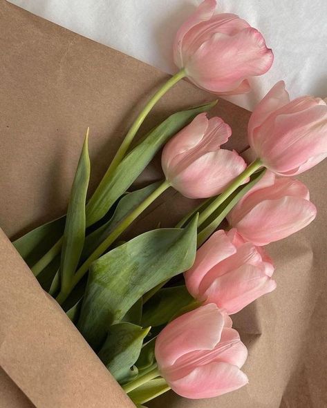 Bloomed Tulips, Aesthetic Spring, Nothing But Flowers, Flower Therapy, Pastel Pink Aesthetic, Spring Aesthetic, Pink Tulips, Tulips Flowers, Brown Paper