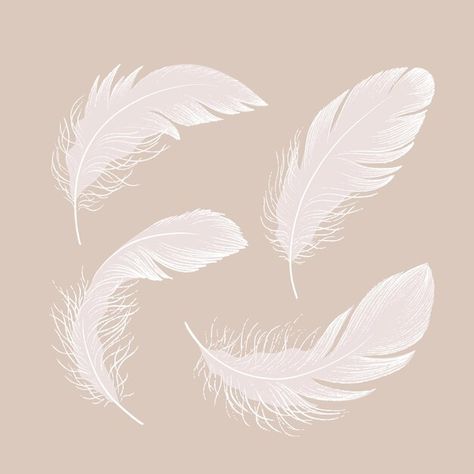 Feathers Illustration, Feather Circle, Feather Background, Feather Illustration, Feather Texture, Feather Vector, Boutique Ideas, Neutral Design, Vector Photo