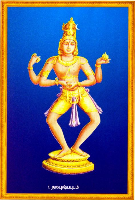 #20-Amazing Pictures of Lord Shiva-108 Poses of Shiva Tandavam-2017 Shiva Thandavam, Indian God And Goddess, Shiva God, Warrior Images, Dancing Shiva, God And Goddess, Indian God, Shiva Family, Om Namah Shivaya