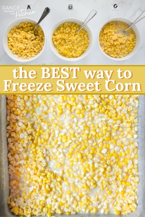 how to freeze corn on the cob Sweet Corn Freezer Recipe, Preserving Sweet Corn, Freezing Sweet Corn Without Blanching, How To Put Fresh Corn In Freezer, How To Freeze Fresh Sweet Corn, Preserving Corn Recipes, How To Preserve Fresh Corn, Preserving Fresh Corn, Freezer Corn Recipe No Cook