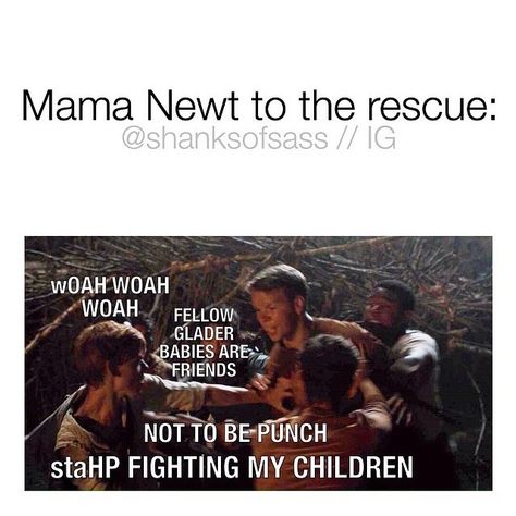 Mama newt the fandom misses you Newt And Minho Fan Art, Minho Newt And Thomas, Newt Pics, Newtmas Pictures, Mama Noot, Mama Newt, Newtmas Memes, Noot Noot, Maze Runner Thomas