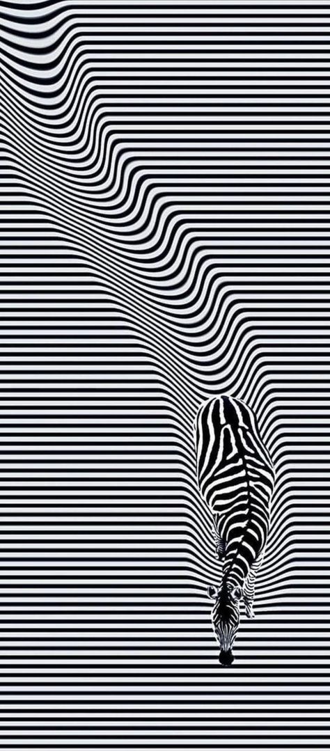 Illusion Art Black And White, Optical Illusion Mural, Opt Art Optical Illusions, Illusional Drawings, 3d Art Drawing Optical Illusions, Optical Illusion Art Projects, Optic Illusion Drawing, Optical Illusions Fashion, Optical Illusions Pictures Art