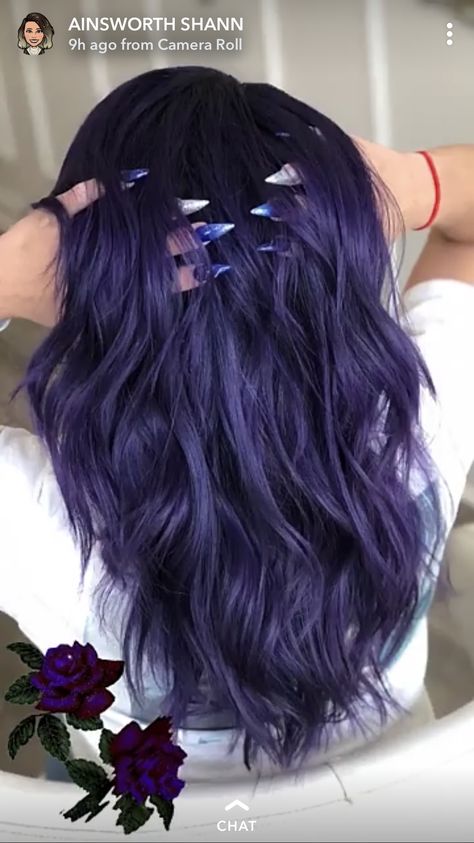 Purple Hair For Cool Skin Tones, Dark Blue Violet Hair, Dark Purple Hair No Bleach, Blue Toned Purple Hair, Color Extensions Ideas, Cool Toned Purple Hair, Midnight Violet Hair, Purple Hair Updo, Dark Vivid Hair Color