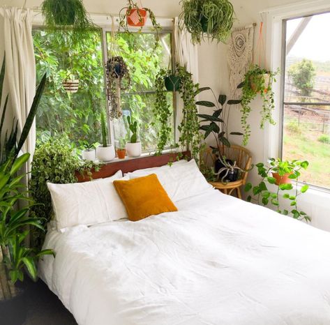 Placing a Bed Against a Window and How to Make It Work Bed Under Window Ideas, Under Window Ideas, Bed Under Window, Bohemian Bedrooms, Bedding Design, Fancy Decor, Dream Bedrooms, Bedroom Plants, Bohemian Bedroom Decor