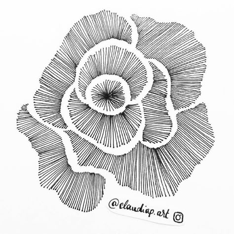 Illustration Botanique, Soyut Sanat Tabloları, White Drawing, Zentangle Drawings, Daily Drawing, Doodle Art Designs, Zen Art, Black And White Drawing, Ink Drawings