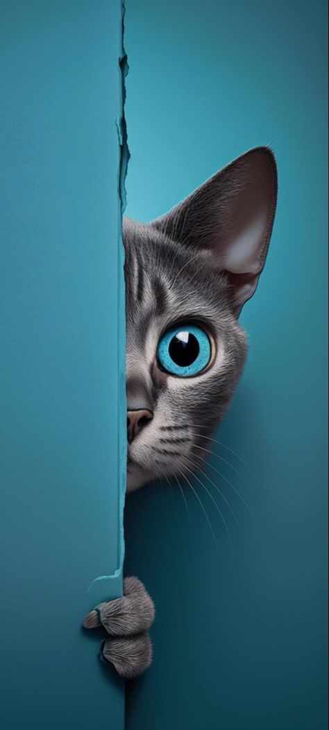 Cat Phone Wallpaper, الفن الرقمي, Image Moto, Eagle Wallpaper, Iphone Dynamic Wallpaper, 강아지 그림, Iphone Wallpaper Hd Nature, Swag Cartoon, Cartoon Character Pictures