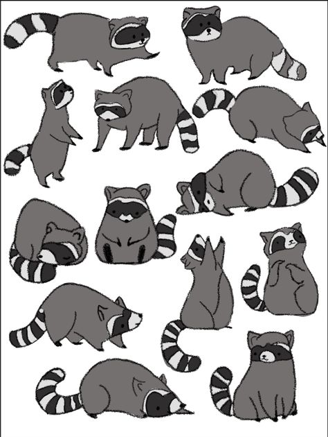 I love this so much!!! Ahhhhh!!! Raccoon Anatomy Drawing, Raccoon Doodle Easy, Silly Raccoon Drawing, Raccoon And Possum Drawing, Raccoon Sketch Simple, Raccoon Drawing Reference, Raccoon Drawing Sketches, Raccoon Cartoon Drawing, Possum Drawing Easy