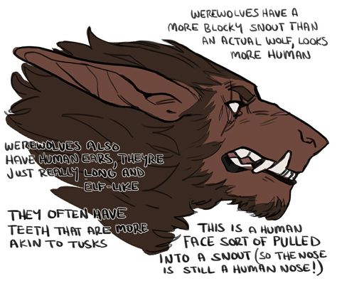 Werewolf Creature Design, Werewolf Worldbuilding, Emotional Support Werewolf, Werewolf X Human Art, Types Of Werewolves, Animal Monster Concept Art, Cute Werewolf Art, How To Draw Werewolves, Wolf Man Character Design