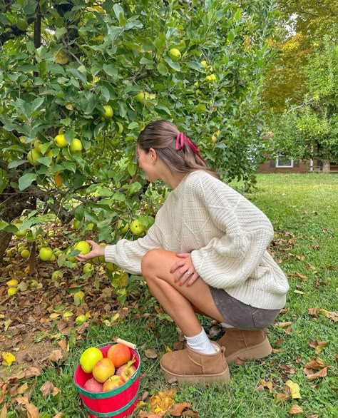 Fall Outfits For Apple Picking, Apple Picking Picture Ideas, Apple Farm Outfit, Cider Mill Photoshoot, Apple Orchard Instagram Pictures, Apple Picking Fits, Apple Picking Photo Ideas, Apple Picking Instagram Pictures, Apple Picking Poses