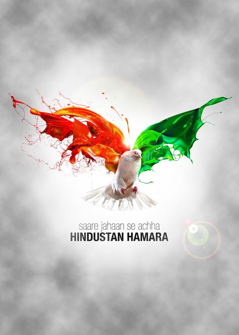 Happy Independence Day Photos, Happy 75th Independence Day, Independence Day Hd, 75th Independence Day, Independence Day Design, Independence Day Status, Rajput Quotes, Independence Day Photos, Background Picsart