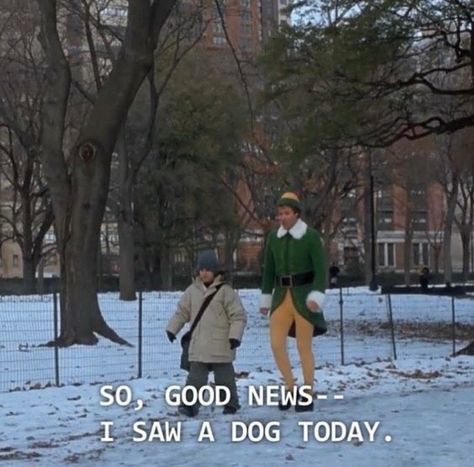 So, good news...I saw a dog today! #wildfoxcouture #elf Fair Quotes, Elf 2003, Elf Quotes, Elf Movie, Work Quotes Funny, Film Quotes, Funny Quotes About Life, Holiday Movie, Wholesome Memes