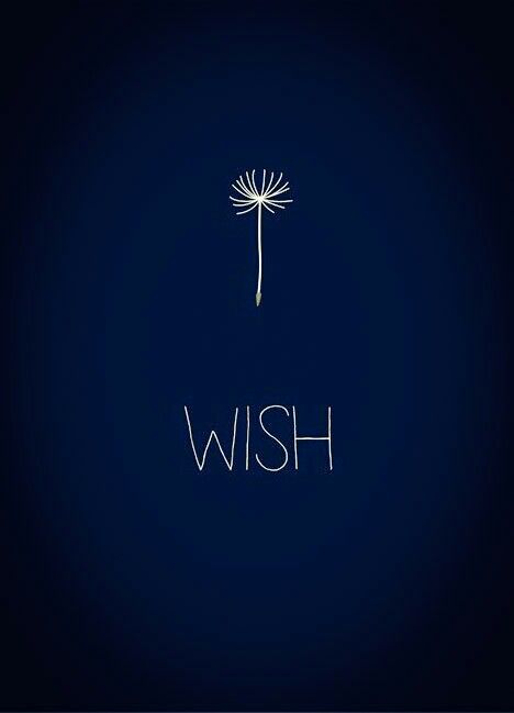 11 11 Make A Wish, Words Wallpaper, Moral Values, Happy Soul, Author Quotes, Soft Spot, Tattoo Designs For Women, Cool Fonts, Make A Wish