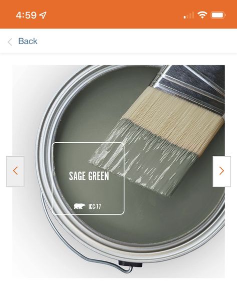 Behr Sage Green, Behr Sage Green Paint, Painted Pallets Ideas, Color Palets, Sage Green Paint, Behr Paint Colors, Paint Palettes, Basement Reno, Paint Repair