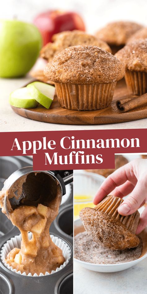 Apple Cinnamon Muffins With Apple Pie Filling, Apple Cinnamon Chip Muffins, Recipes Using Cooking Apples, Apple Chunk Muffins, Gf Apple Cinnamon Muffins, Muffin Apple Cinnamon, Apple Cinnamon Breakfast Muffins, Moist Apple Cinnamon Muffins, Jennifer Garner Cinnamon Apple Muffins