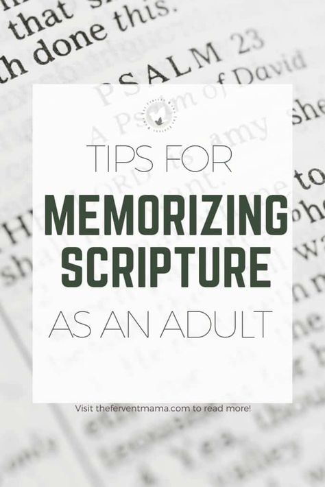 Memorizing Scripture, Memorize Scripture, Signs Of The Times, Bible Verse Memorization, Bible Quiz, Scripture Memorization, Bible College, Bible Study Methods, Bible Ideas