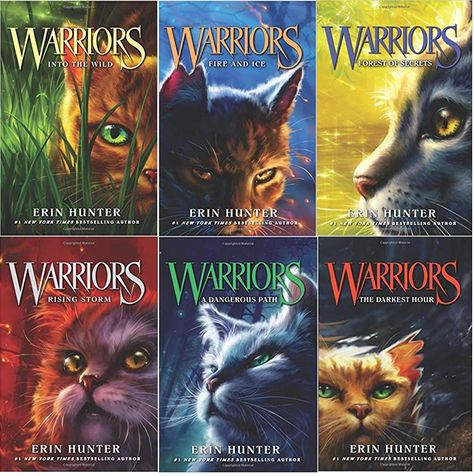 Warriors Trilogy 1 Ominous Background, Warriors Erin Hunter, Burning Embers, Painting Fire, Ice Warriors, Fire Warrior, Lego Dragon, Warrior Cats Series, Warrior Cats Books