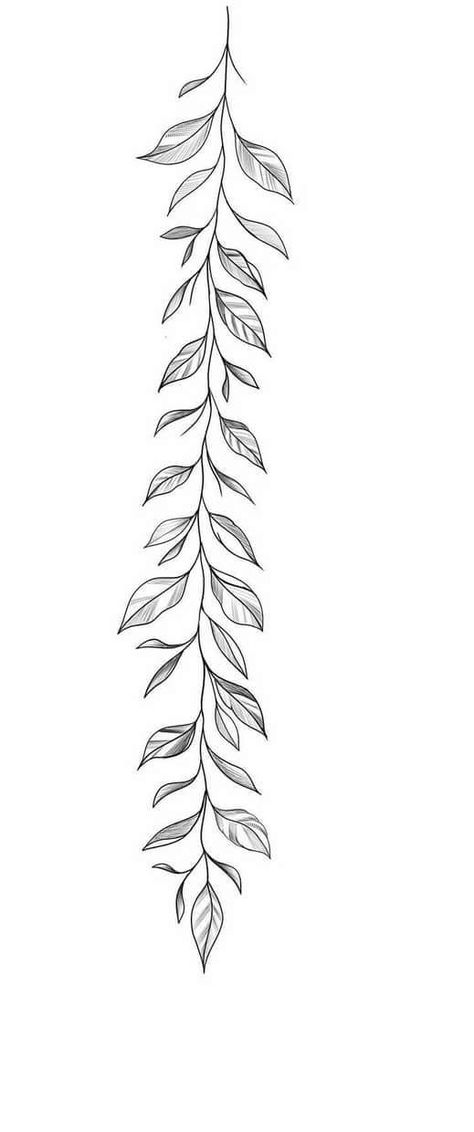 Leaf Vine Drawing Tattoo, Vine Leaf Tattoos For Women, Flowers Band Tattoo, Plant Leaf Tattoo Sleeve, Vine Floral Tattoo, Vine Tattoo Drawing, Floral Vine Drawing, Floral Band Tattoo Design, Leaf Tattoo Sleeve