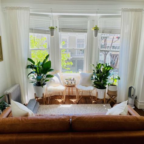 400 Square Foot San Francisco Studio with 40 Plants | Apartment Therapy San Francisco Apartment Decor, Bay Window Ideas, Bay Window Living Room, San Francisco Apartment, Sf Apartment, Bright Furniture, Small Living Space, Girl Apartment, City Apartments