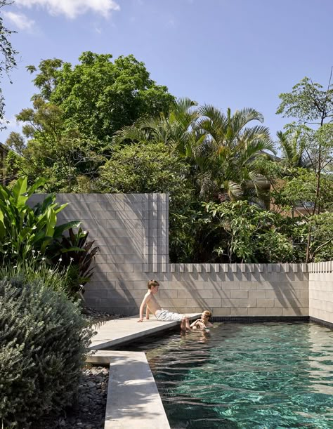 A Miraculous Floating Garden + Pool in Brisbane Pool Colours, Build A Pool, Brisbane Architects, Residential Pool, Modern Pool, Floating Garden, Plunge Pools, Pool Landscape, Waterfall Features