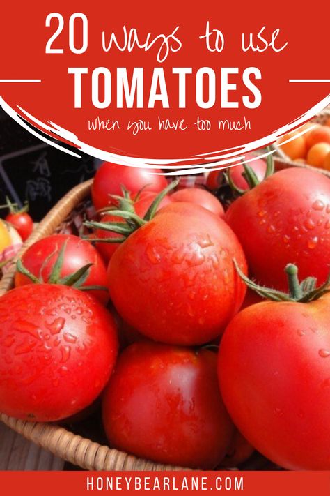 A little tomato inspiration for any of you overcome with an abundance of tomatoes this year.  Best ways to use tomatoes from garden. Garden tomatoes what to do with.What to do with extra garden tomatoes. Things To Make With Tomatoes From The Garden, Ways To Use Up Tomatoes, Uses For Garden Tomatoes, What To Do With Bulk Tomatoes, Ways To Use Tomatoes From Garden, What To Do With An Abundance Of Tomatoes, Things To Do With Tomatoes From Garden, Overripe Tomatoes Recipe, What To Do With A Bunch Of Tomatoes