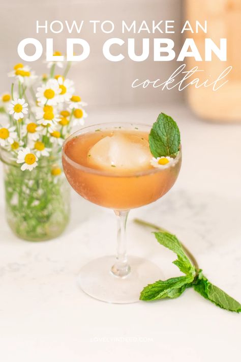 The Old Cuban cocktail is a perfect combination of fresh mint, deep rum, and effervescent champagne. Try it at your next celebration. Similar to a Mojito but with a few added ingredients, it's sophisticated yet celebratory! Old Cuban Cocktail, Mule Drink, Cocktail Recipes Easy, Easy Cocktails, Holiday Cocktails, Drink Up, Cocktail Recipe, Fresh Mint, Mojito