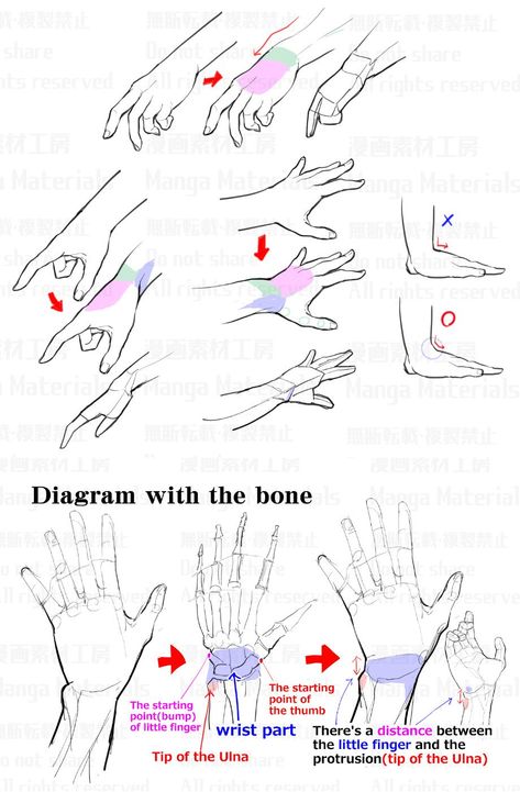 MangaMaterials＠TESCO on Twitter: "Structure of the wrist: The reason why wrist is difficult… " Wrist Anatomy, Hand Structure, Manga Materials, Drawing Tut, Hands Tutorial, Manga Tutorial, Anatomy Tutorial, Drawing Help, Manga Drawing Tutorials