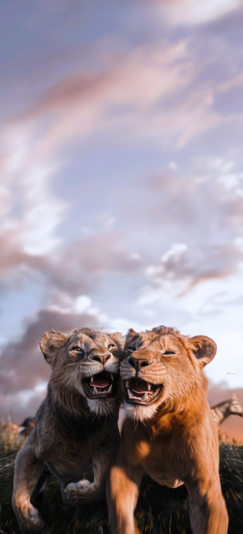 Mufasa: The Lion King Scar And Mufasa, Scar Lion King, Lion King 3, Lion King Pictures, Lion King Movie, Lion King 2, Il Re Leone, Pride Rock, Lion King Art