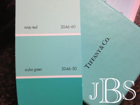 A few months ago, I was discussing front door colors with a Twitter follower (@latinabug_nj). I had just painted our front door Wythe Blue from Benjamin Moore & also, updated the storm door wit… Tiffany Blue Paint, Tiffany Blue Rooms, Tiffany Blue Walls, Blue Door House, Tiffany Blue Bathrooms, Tiffany Blue Bedroom, Tiffany Bedroom, Tiffany Room, Farrow & Ball