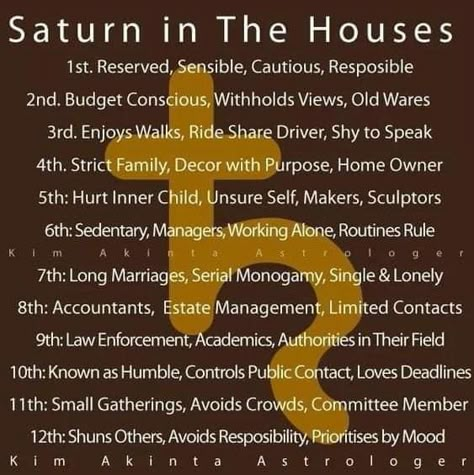 Saturn In Leo, Houses Astrology, My Birth Chart, Astrology Houses, Astrology Meaning, Birth Charts, North Node, Leo Rising, Astrology Planets