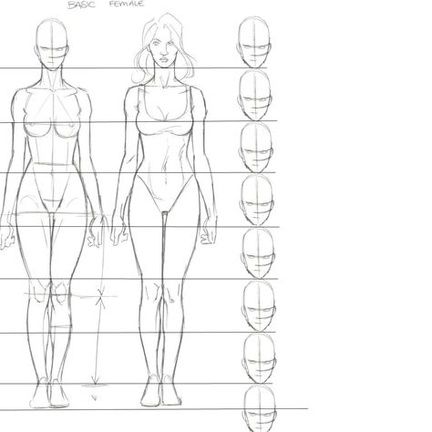 Human Figure Sketches Proportion, Woman Anatomy Tutorial, Female Proportions Drawing, How Many Heads Tall Is A Person, Body Proportions Female, Human Proportions Drawing, Body Proportions Drawing, Female Body Proportions, Female Proportions