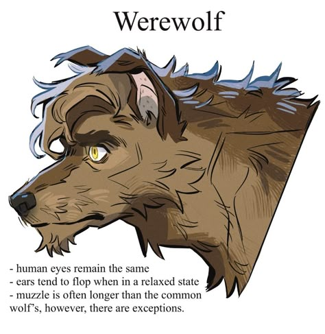 Werewolf Drawing, Werewolf Aesthetic, Werewolf Art, Canine Art, Nature And Animals, Perfectly Timed Photos, Interesting Animals, Creature Drawings, Mythical Creatures Art