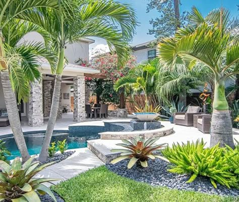 3 Ft Front Yard Fence Ideas, Palm Trees Landscaping Front Yard, Backyard Pool With Lanai, Palm Tree Yard Ideas, Palm Tree Garden Ideas Backyards, Landscape Design Palm Trees, Backyard With Palm Trees, Tropical Poolside Landscaping, Pool Landscaping Palm Trees