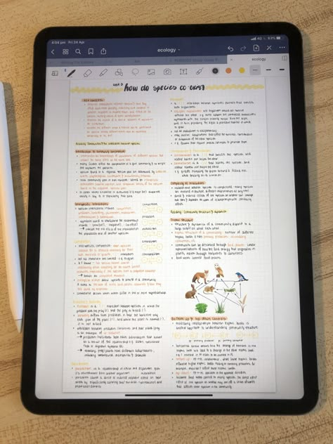 College Notes Organization Ipad, Ipad Revision Notes, Notetaking Ideas Ipad, Ipad Notes College Notability, Notability Aesthetic Notes, Nursing Notes Aesthetic Ipad, Ipad Pro Notes Goodnotes, Notes On Ipad Goodnotes, School Notes Layout Ipad