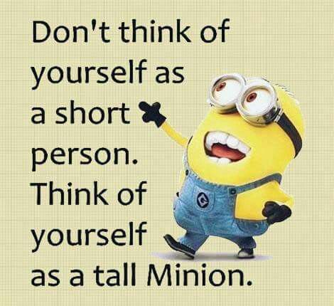 Short person Short Person Jokes, Short People Memes, Short People Quotes, Good Clean Jokes, Minion Stuff, Short People Problems, Irish Jokes, Short Person, Love Quotes Inspirational