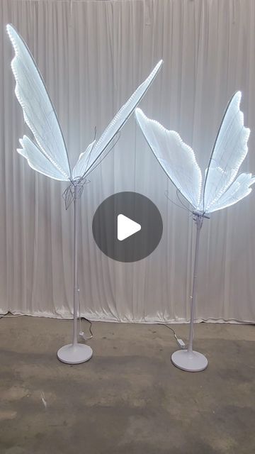 Melbourne Prop Hire | Floral Hire on Instagram: "ZEHRA LED BUTTERFLIES 🦋 EDITION

Obsessed with our latest addition to the HAZEL EVENTS range!! 

Our Large and Medium LED Butterflies will making an enchanting and whimsical theme LED LIT 🔥 

NOW AVAILABLE @hazeleventsprophire 

#ledlitbutterfly #butterfly #led #neonhire #melbourneprophire #explore #melbourne #eventhire #babyshower #bridalshower #lightitup #whimsical #newproduct #butterfly #luxeevents #luxury #kidstheme #kidspartyplanning #kidsparty #firstbirthday #girlsbirthday #babygirl #babyboy #genderreveal #christening #baptism" Butterfly Props, Whimsical Theme, How To Make Butterfly, Kids Party Planning, Butterfly Birthday Party, Prop Hire, Butterfly Birthday, Gender Reveal, Christening