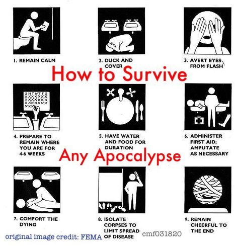 Original image credit: FEMA. Apocalypse Tips, Different Types Of Apocalypse, Apocalypse Cas Poster, Semiotic Apocalypse, Zombie Apocalypse Comic, Zombie Apocalypse Choose Wisely, Remain Calm, Survival Skills Life Hacks, Apocalypse Survival