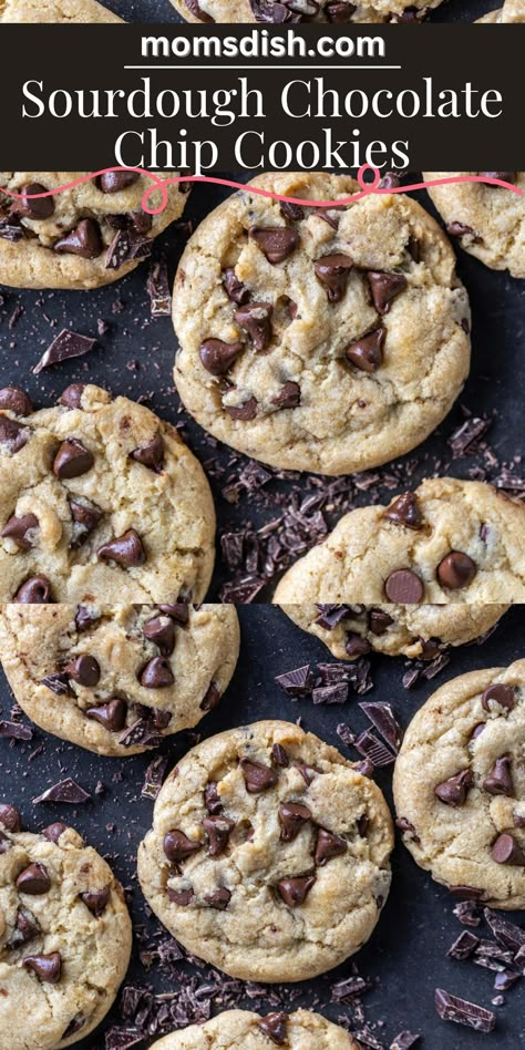 Made with nutty browned butter, sourdough discard, and gooey chocolate chips, these sourdough chocolate chip cookies are a dream come true. The flavor is unmatched! Chocolate Sourdough Recipes, Brown Butter Sourdough Discard Cookies, Discard Sourdough Chocolate Chip Cookies, Cookies Sourdough, Easy Sourdough Cookies, Sourdough Cookies Chocolate Chip, Chocolate Chip Sourdough Cookies, Sourdough Discard Chocolate Chip Muffins, Brown Butter Sourdough Cookies