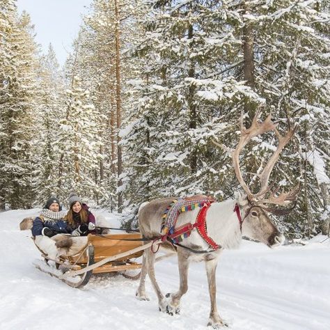 Ride Wallpapers, Santa Claus Village Rovaniemi, Travel Campaign, Reindeer Farm, Rovaniemi Finland, Best Winter Destinations, Santa Claus Village, Farm Visit, Lapland Finland