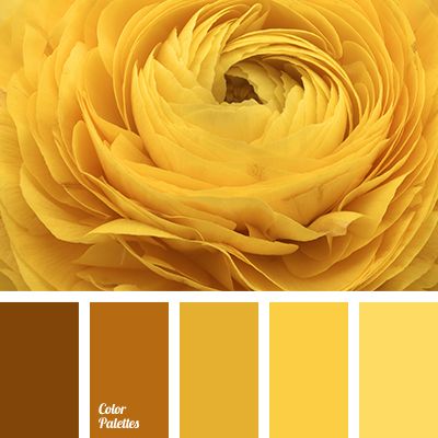 monochrome yellow color palette | Color ... In Color Balance, Flat Bedroom, Yellow Color Palette, Yellow Palette, Monochrome Color Palette, Orange Color Schemes, Makeover Kitchen, Color Palette Yellow, Warm Palette